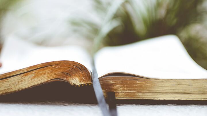 Insight for Christian Life | Rowlett | Samuel & Lilly Isaac