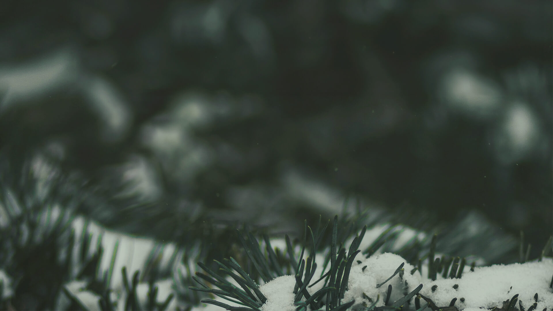 Christmas at Gateway